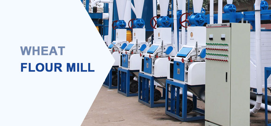 Wheat Flour Mill
