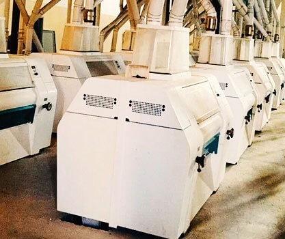 Algeria 200TPD Wheat flour milling project